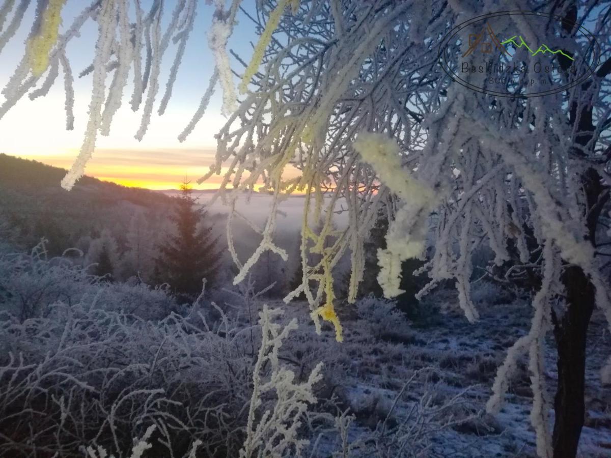 Beskidzka Ostoja Koszarawa Exteriér fotografie