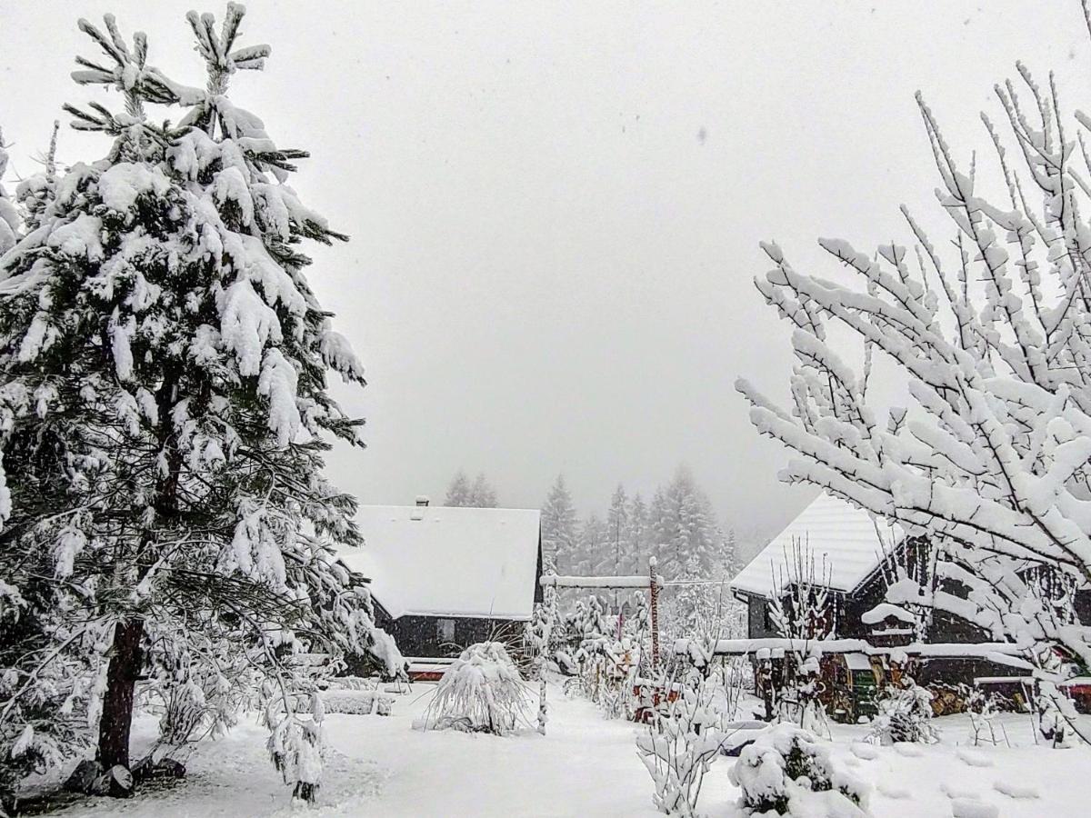 Beskidzka Ostoja Koszarawa Exteriér fotografie
